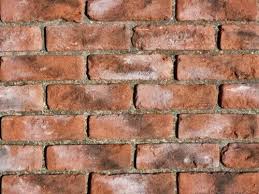 Brick Slips Brick Tiles Real Brick