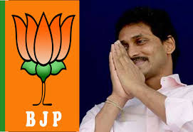 Image result for BJP YCP