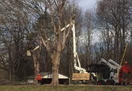 Tree pruning, tree trimming, tree removal, stump grinding & more. Tree Services In Alexandria Va Tree Trimming Tree Removals