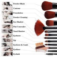 blush professional cosmetic brushes set