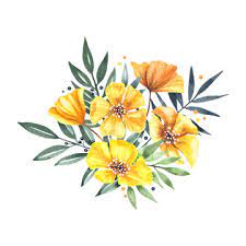 watercolor yellow flower images