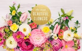 Order by 3pm for flower delivery today. The 20 Most Beautiful Flowers You Ll Ever See Ftd Com