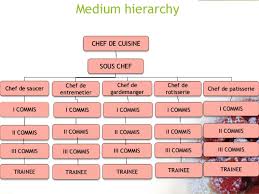 Competent Kitchen Hierarchy Chart Kitchen Org Chart Hilton