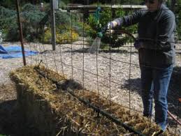 straw bale gardening demonstration 2016