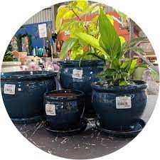 Garden Pots In Ballarat Vic Spot On