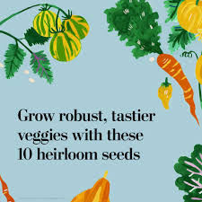 10 tasty heirloom seed varieties to