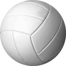 Amazon.com : All White Volleyball Ball (Official, One / Single Ball) :  Sports & Outdoors