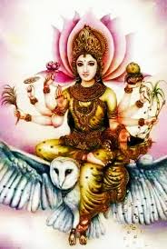 Kashi Vishwanath Temple Owl