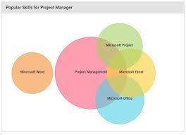 successful project manager career path