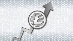 Remember that xrp coins are broken into smaller units than bitcoin, like pennies to a hundred dollar bill. Why Will Litecoin Ltc Reach 1000 Usd Sooner Than You Think Newcomers The Independent Republic