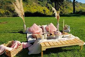 San Diego Luxury Picnics for Couples and Parties | Your Lovely Moments gambar png