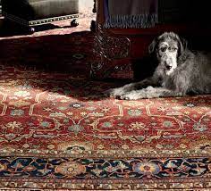 ralph lauren rugs safavieh designer rugs