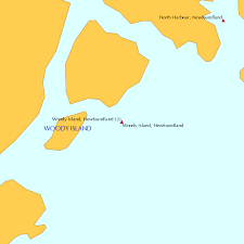 Woody Island Newfoundland Tide Chart