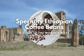 specialty ethiopian coffee beans a