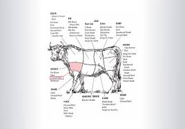 Cattle Bone Diagram List Of Wiring Diagrams