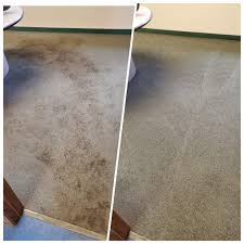 racine carpet cleaning nature s way