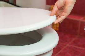Do Toilet Seat Covers Actually Work