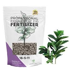 house plant fertilizer pellets 16 5 11