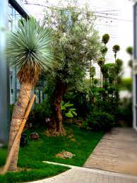 多肉植物専門店soarer 代々木ビレッジ そら植物園さん 代々木ビレッジ 結婚式場 式場 東京 ウェディング 会場 代々木ビレッジ 壁面緑化 植物園