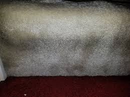 those stains on the edge of your carpet
