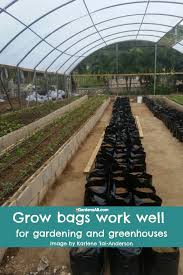 Grow Bag Gardening A Simple Way To