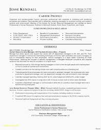 Resume templates find the perfect resume template. Social Services Resume Templates