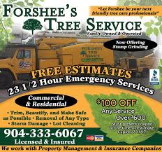 Special Offers Forshees Tree Service