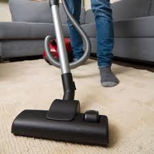 northern beaches carpet cleaning