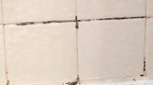 Black Mold In The Shower How To Clean
