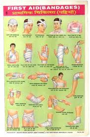 First Aid Indian Book Depot Wallchart Medical Posters