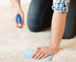 rug cleaning company north london
