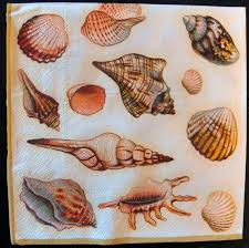 Decoupage Napkins Sea Shell Collection With Cream Background Seashell Napkins Beach Napkins Marine Paper Napkins For Decoupage