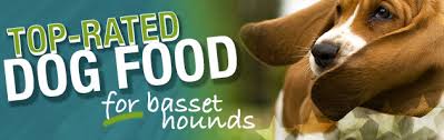 Best Dog Food For Basset Hounds Feeding Buyers Guide