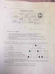 Genetics pedigree worksheet answer key | semesprit pedigree charts display info in a hierarchy and are frequently used to show relationships, including in genealogy trees and organization charts. Solved Name Pedigrees Activity Hints For Analyzing Pedigr Chegg Com