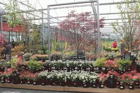 Gca Names Best Garden Centres For Plants