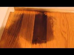 This will prevent the blood from seeping in deeper into the wood. How To Remove Pet Urine Stains From Hardwood Floors Youtube Hardwood Floors Staining Wood Floors Cleaning Wood Floors