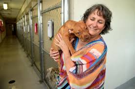 Find opening hours and closing hours from the pet stores & supplies category in augusta, ga and other contact details such as address, phone number, website. Summer Months A Difficult Time For Augusta Area Animal Shelters News The Augusta Chronicle Augusta Ga