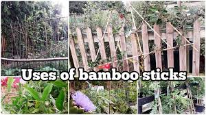 Bamboo Fencing Quality Checks You