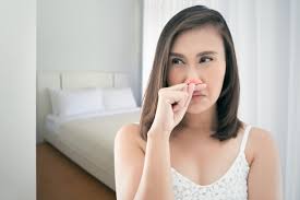 how to get rid of musty smell in your