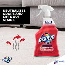 stain carpet cleaner