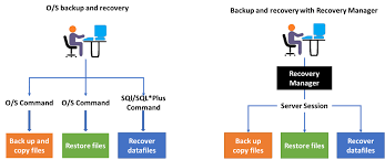 database backup re and recovery