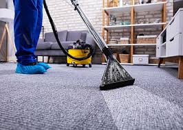 3 best carpet cleaners in columbus ga