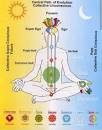 Image result for yoga and meditation centre near me
