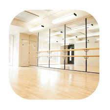 safety gym or dance wall mirrors