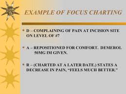 Nursing Pie Charting Related Keywords Suggestions