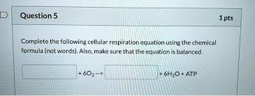 Cellular Respiration Equation