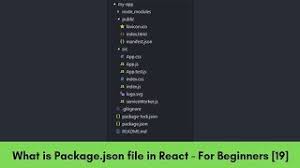 what is package json and file
