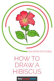 how to draw a hibiscus really easy
