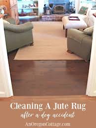 cleaning a jute rug after a dog