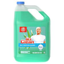 pgc23124 mr clean 23124